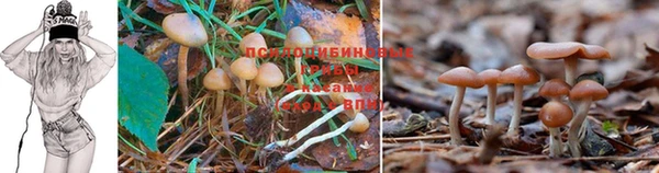 синтетический гашиш Горняк