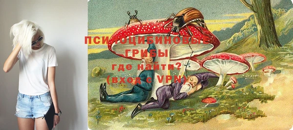 MDMA Premium VHQ Горнозаводск