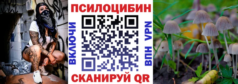 Псилоцибиновые грибы Psilocybine cubensis  блэк спрут вход  Канаш 